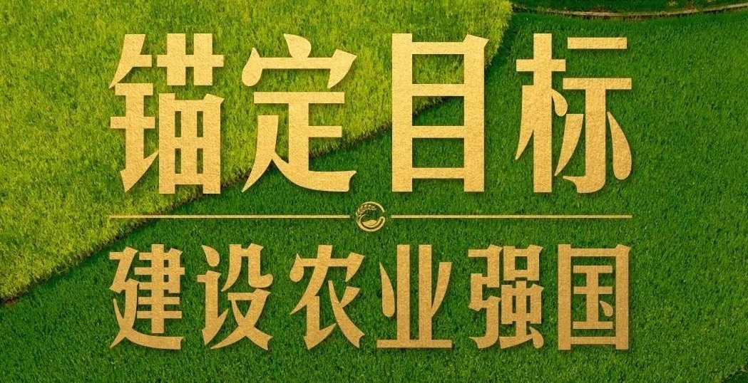 點燃現(xiàn)代農(nóng)業(yè)創(chuàng)新引擎，釋放農(nóng)業(yè)領(lǐng)域新質(zhì)生產(chǎn)力
